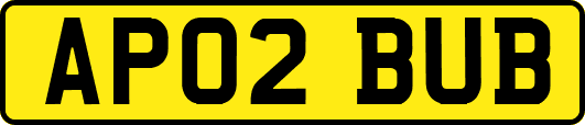 AP02BUB