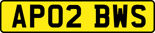 AP02BWS