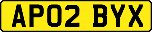 AP02BYX