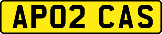 AP02CAS