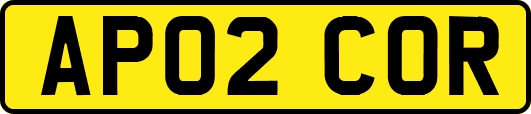 AP02COR