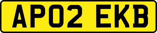 AP02EKB