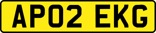 AP02EKG