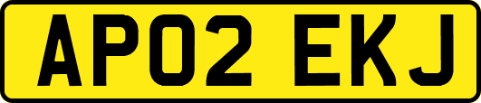 AP02EKJ