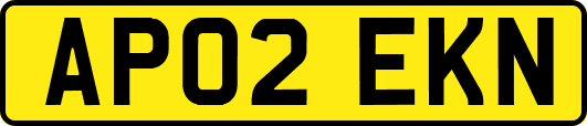 AP02EKN