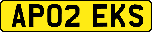 AP02EKS