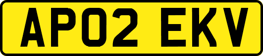 AP02EKV