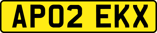 AP02EKX