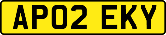 AP02EKY
