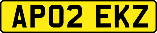 AP02EKZ