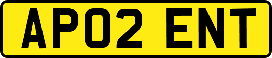 AP02ENT
