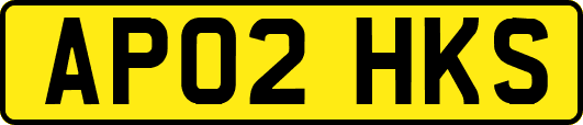 AP02HKS