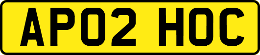 AP02HOC
