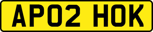 AP02HOK