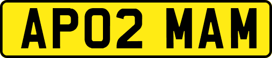 AP02MAM