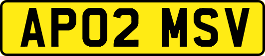 AP02MSV