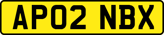AP02NBX