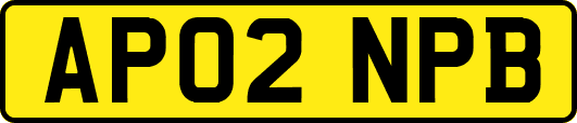 AP02NPB