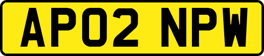 AP02NPW