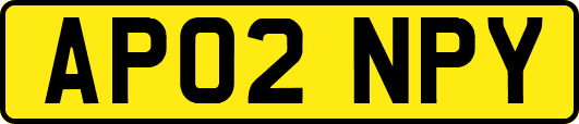 AP02NPY