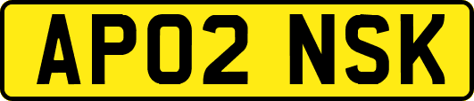 AP02NSK