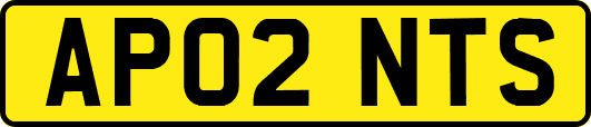 AP02NTS