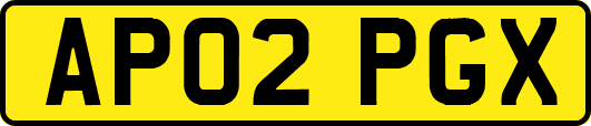 AP02PGX