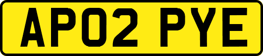 AP02PYE