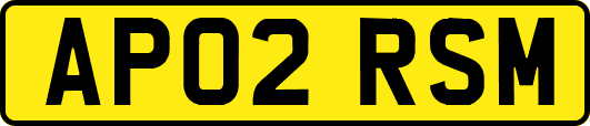 AP02RSM