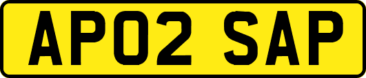 AP02SAP