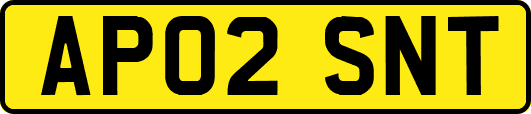 AP02SNT