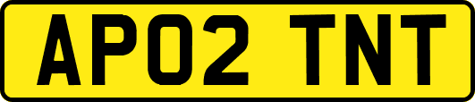 AP02TNT