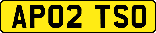 AP02TSO