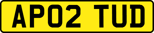 AP02TUD