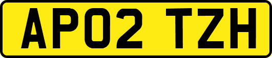 AP02TZH