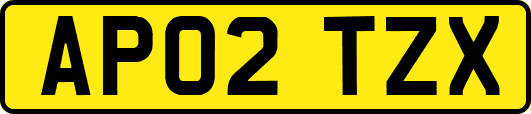 AP02TZX