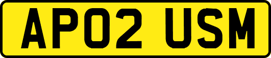 AP02USM
