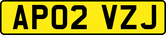 AP02VZJ