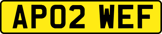 AP02WEF