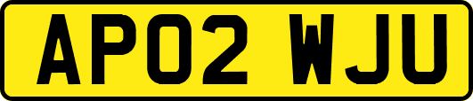 AP02WJU