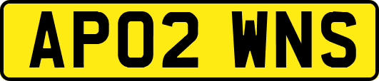 AP02WNS
