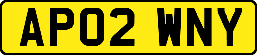 AP02WNY