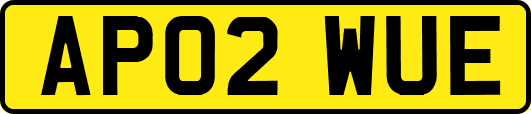 AP02WUE