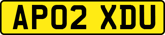 AP02XDU