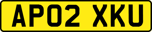 AP02XKU