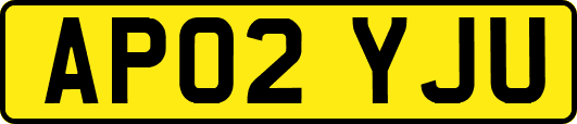 AP02YJU