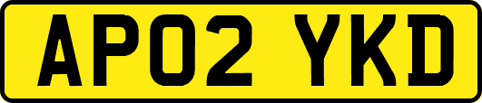 AP02YKD