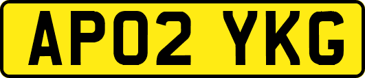 AP02YKG