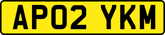 AP02YKM