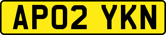 AP02YKN